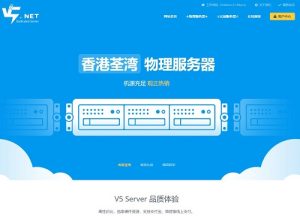 双十一# V5Net：5折优惠，香港/洛杉矶VPS低至130元/年，1G内存/1核/30gSSD/500G流量/500M带宽-大耳狗